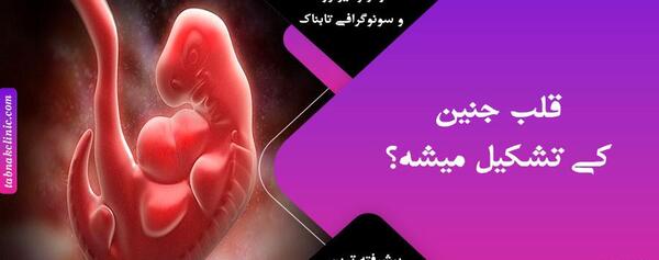 عکس نوشته شنیدن صدای قلب جنین