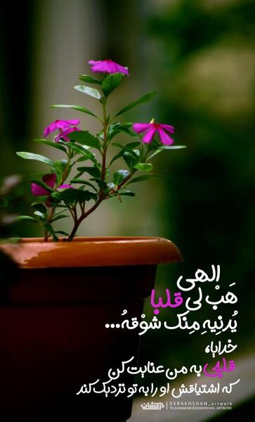 عکس نوشته الهی قلبی محجوب
