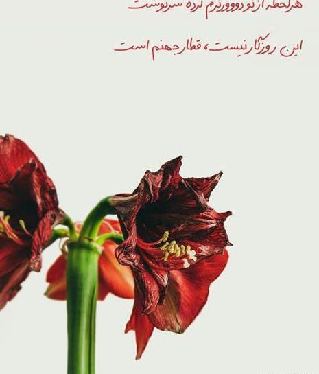 عکس نوشته در مورد تقدیر و سرنوشت