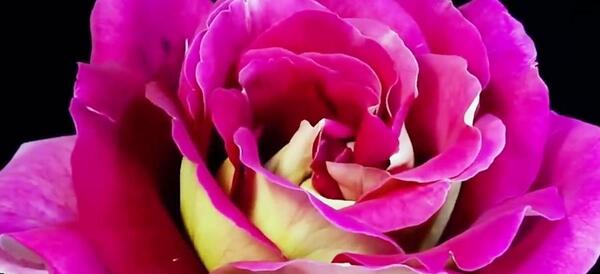 عکس نوشته متحرک تبریک عید غدیر