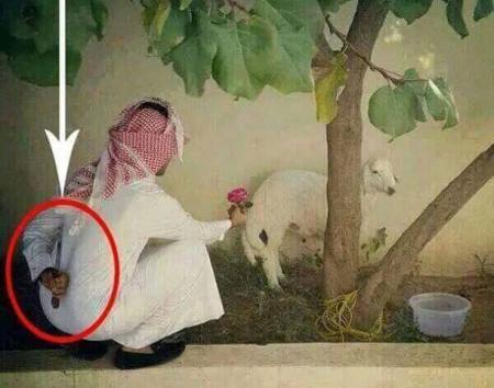 عکس های نوشته دار عید قربان