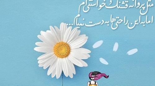 عکس نوشته زنان قدرتمند