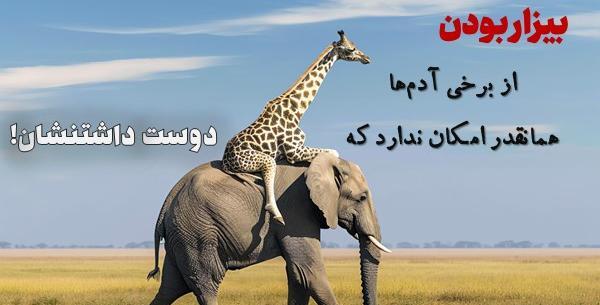 عکس نوشته های عارفانه