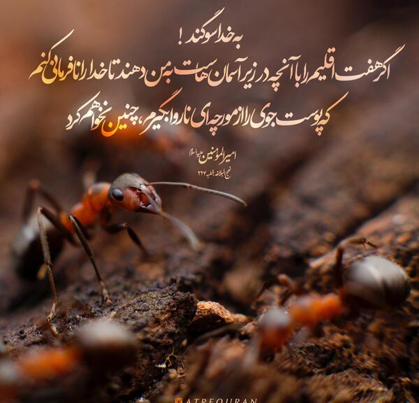 عکس نوشته عدالت علی