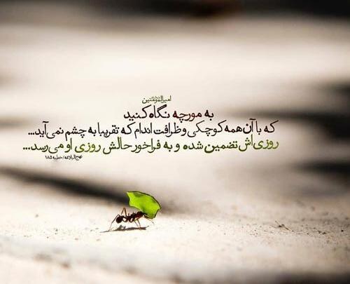 عکس نوشته عدالت علی