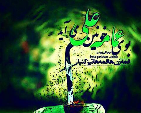 عکس نوشته مولا علی جانم