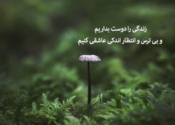 عکس نوشته اشعار سید علی صالحی