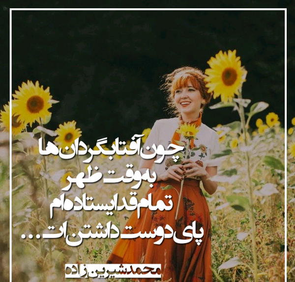 عکس نوشته اشعار سید علی صالحی