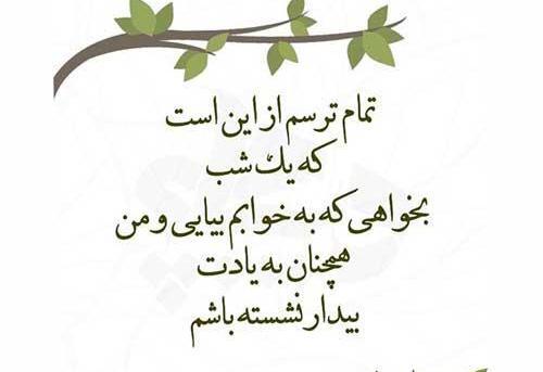 عکس نوشته اشعار سید علی صالحی