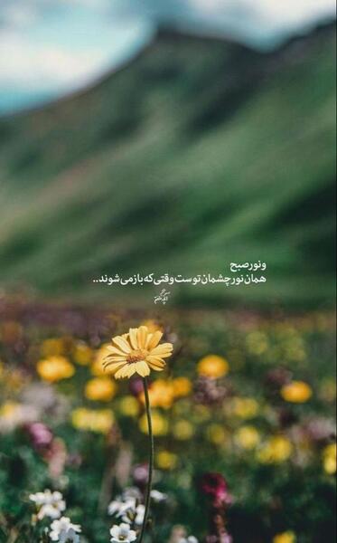 عکس نوشته ی صباح الخیر