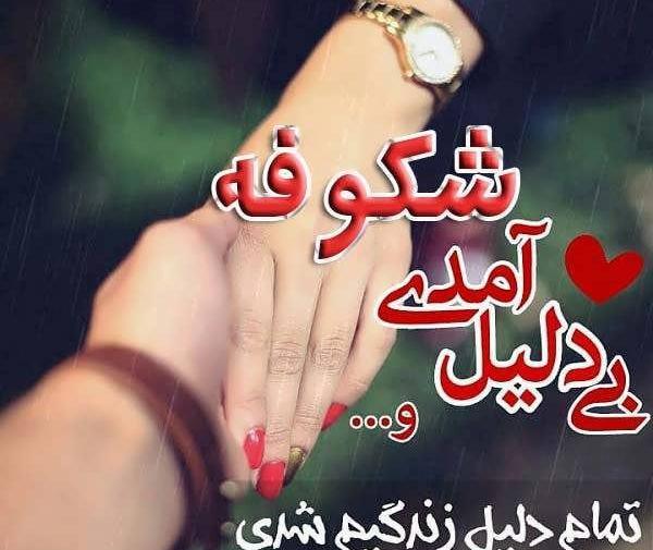 عکس نوشته به اسم شکوفه