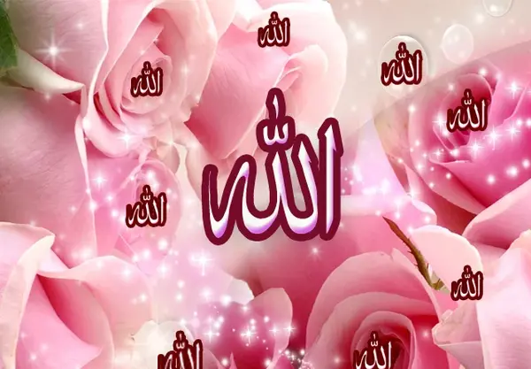 عکس نوشته به اسم شکوفه