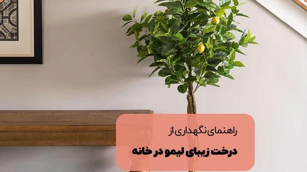 عکس نوشته لیمو شیرین