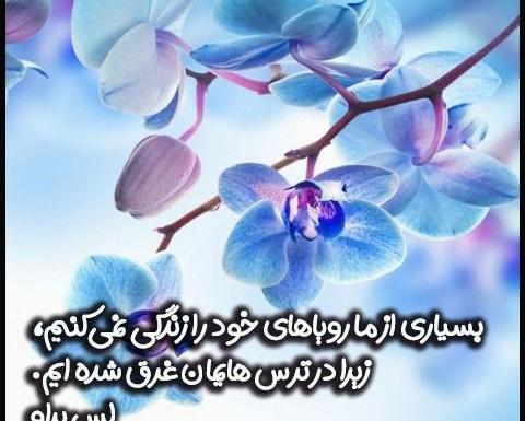 عکس نوشته زیبا در مورد موفقیت