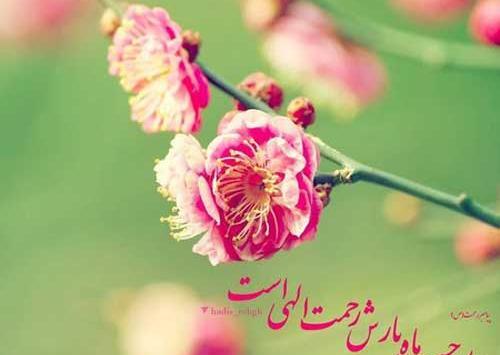 عکس نوشته زیبا برای ماه رجب