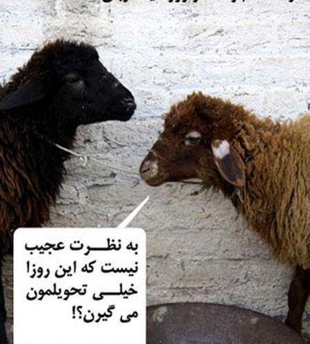 عکس نوشته زیبا در مورد عید قربان