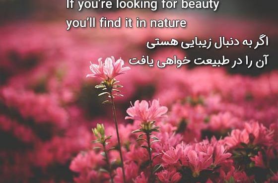 عکس نوشته زیبا از طبیعت