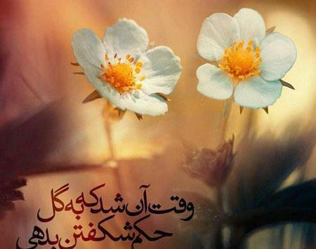 عکس نوشته های زیبا در مورد زندگی