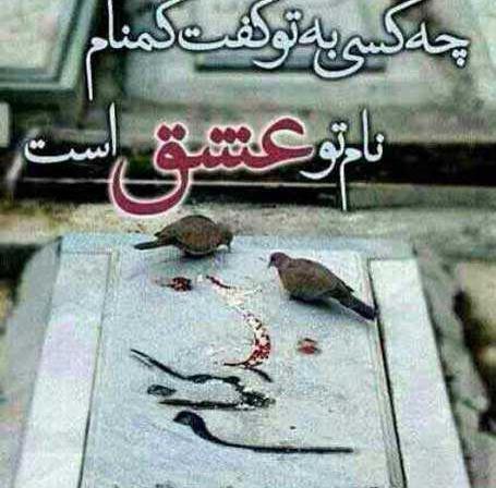 عکس نوشته زیبا از شهدا