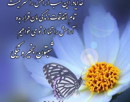 عکس نوشته زیبا برای شب بخیر گفتن