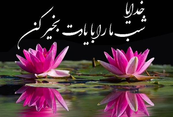 عکس نوشته زیبا برای شب بخیر گفتن
