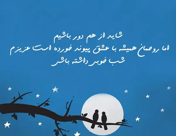 عکس نوشته زیبا برای شب بخیر گفتن