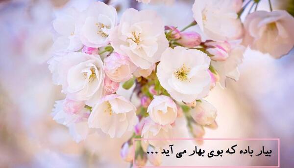 عکس نوشته زیبا برای سال نو