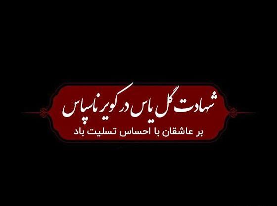 عکس نوشته زیبا از شهادت حضرت زهرا