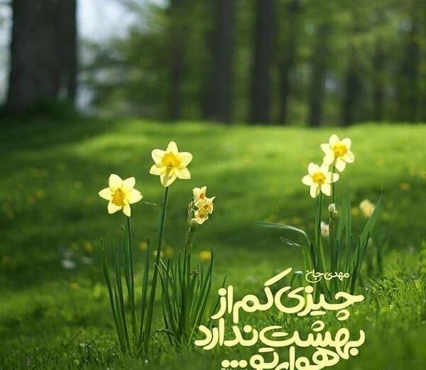 عکس نوشته زیبا امام زمانی