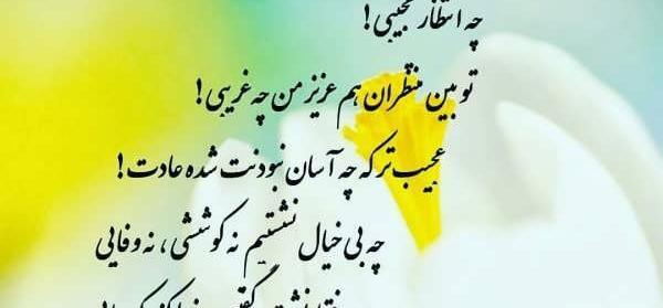 عکس نوشته های زیبا امام زمانی