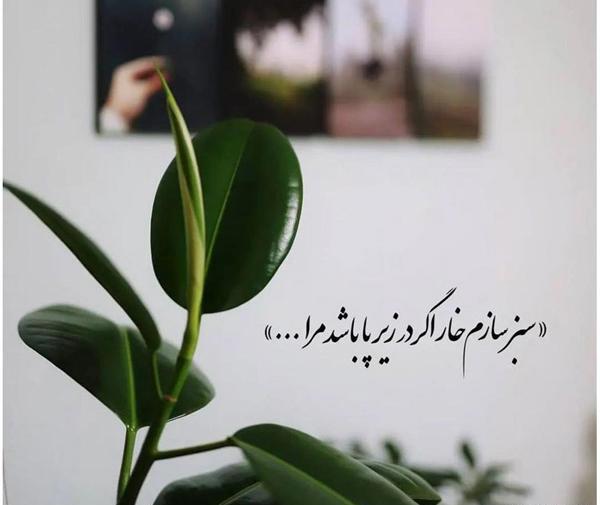 عکس نوشته زیبا و جذاب