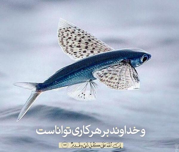 عکس نوشته آیات قرآن زیبا