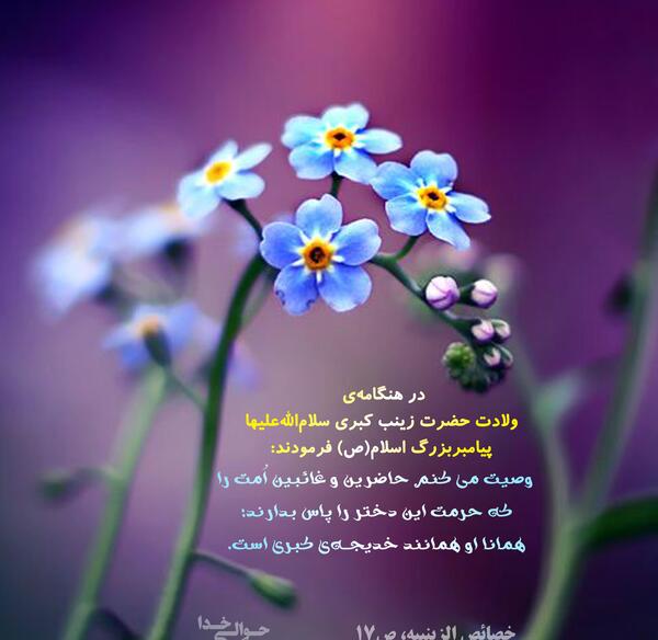 عکس نوشته ولادت حضرت زینب س