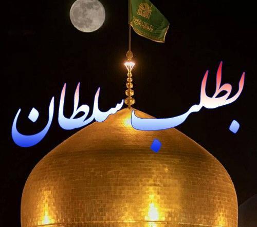 عکس نوشته یا امام رضا بطلب