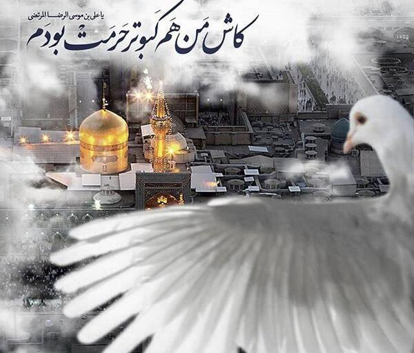 عکس نوشته ی یا امام رضا