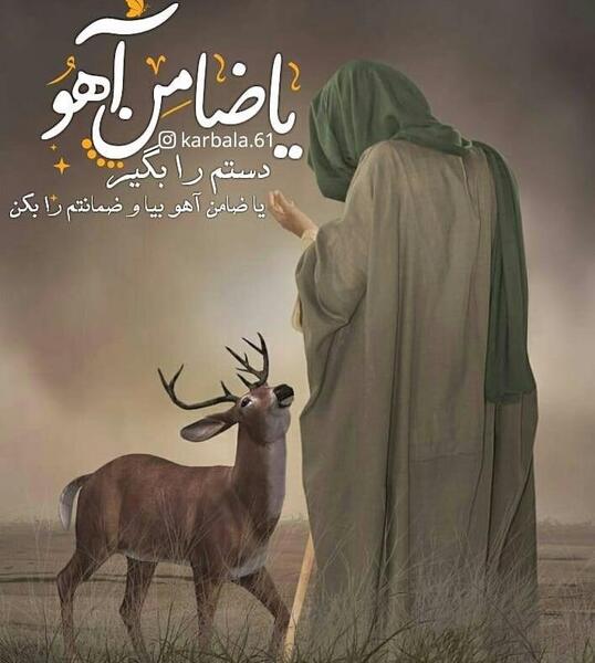 عکس نوشته دلتنگم یا امام رضا