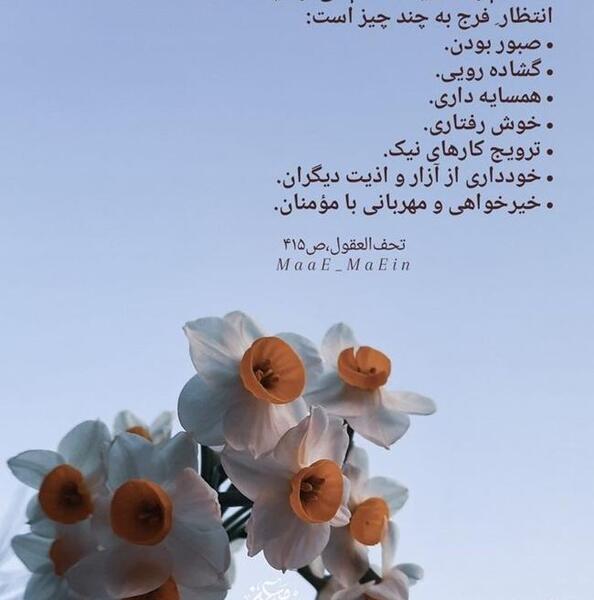 عکس نوشته دلتنگم یا امام رضا