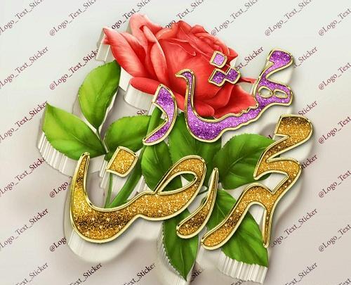 عکس نوشته ی محمدرضا