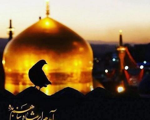 عکس گنبد امام رضا با نوشته