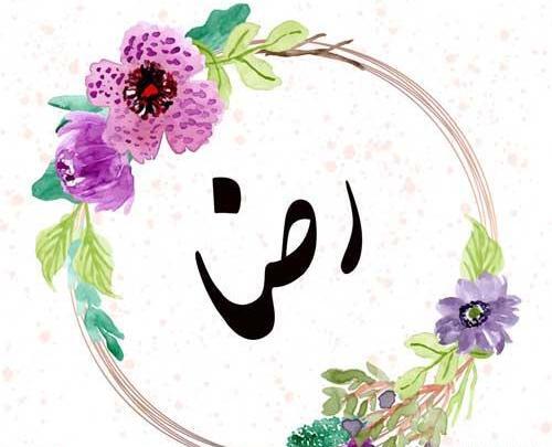 عکس نوشته در مورد اسم رضا