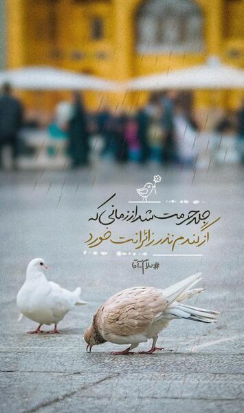عکس نوشته در مورد حرم امام رضا