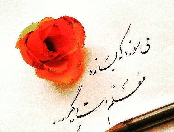 عکس نوشته مربی عزیزم دوستت دارم