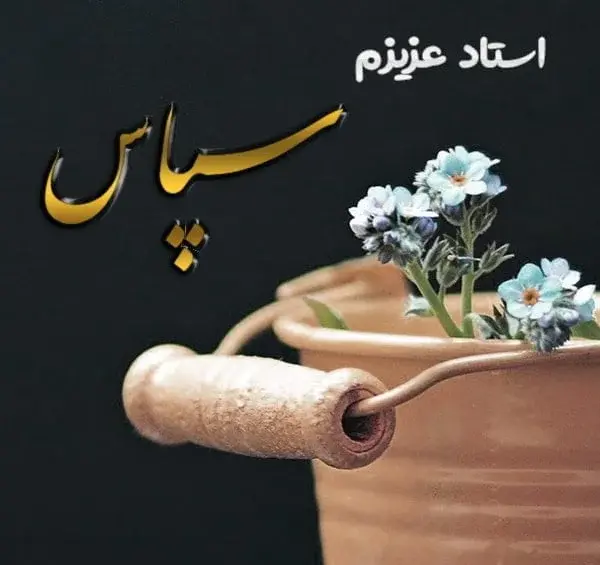 عکس نوشته طیبه دوستت دارم