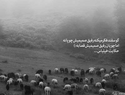 عکس نوشته نمیدونی چقدر دوست دارم