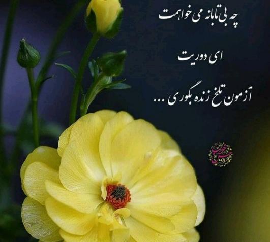 دانلود عکس نوشته دوست دارم تا ابد
