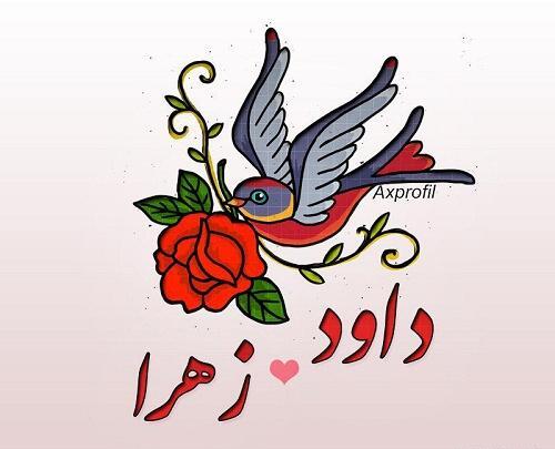 عکس نوشته های اسم داود