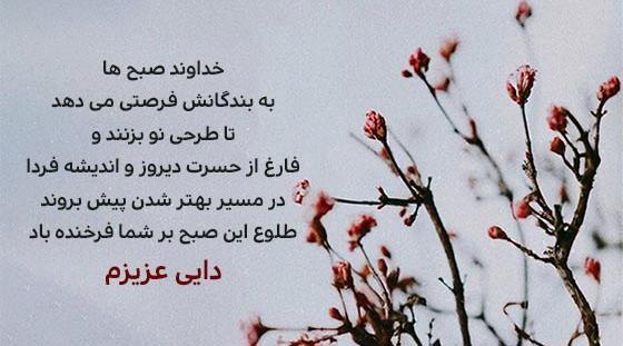 عکس نوشته زیبا برای دایی ها