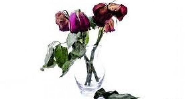 عکس نوشته خواهرزاده فوت شده