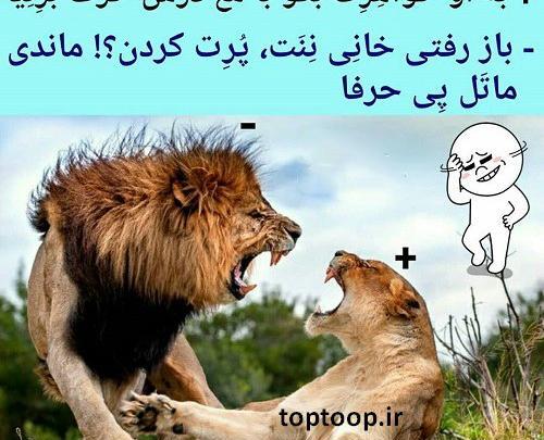 عکس نوشته در مورد خواهر شوهر بد