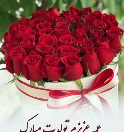 عکس نوشته عشق عمه تولدت مبارک